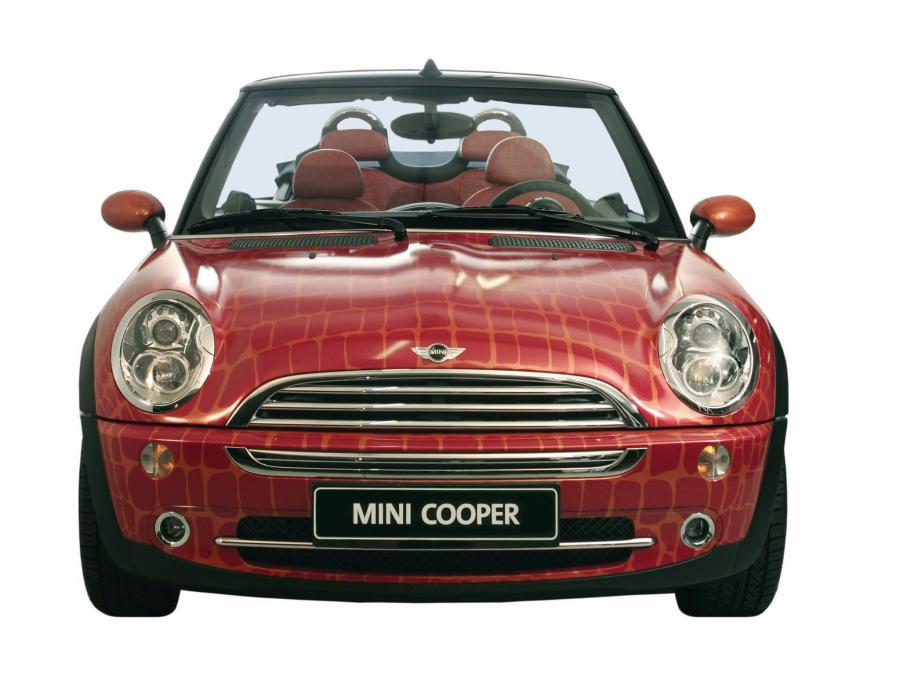  Mini Cooper Cabrio by Gianfranco Ferre 2004 года  (фото 3 из 5)